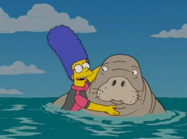 Bonfire of the Manatees