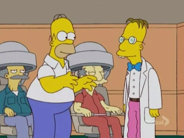 Eternal Moonshine of the Simpson Mind