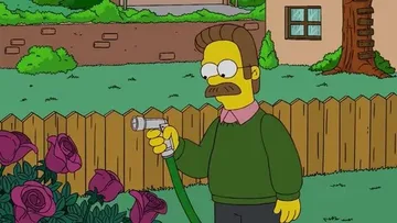 The Bob Next Door